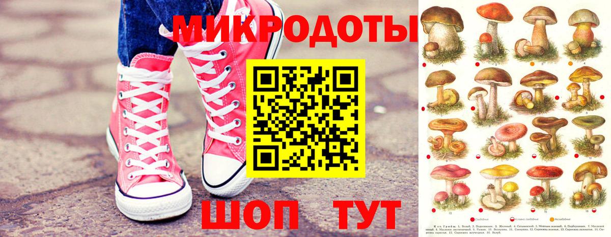 Галлюциногенные грибы GOLDEN TEACHER  Вход с VPN  купить наркоту  Йошкар-Ола  Псилоцибиновые грибы мухоморы 